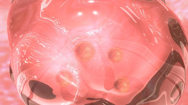 Еко людського ембріона. — стокове фото