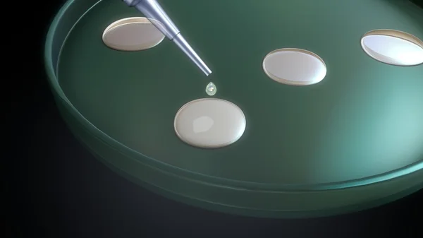 Menschliche In-vitro-Fertilisation — Stockfoto