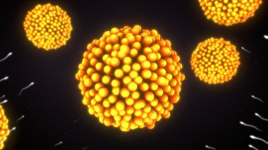 İn vitro fertilizasyon. üreme kavramı