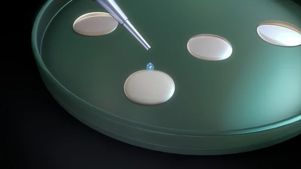 In vitro fertilisatie concept. — Stockfoto