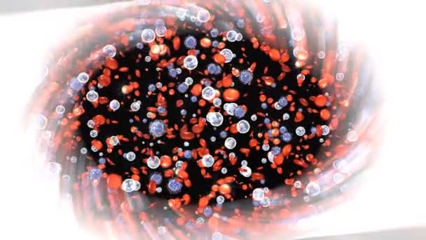 globules sanguins dans le vaisseau 