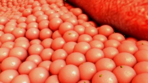 bactéries, virus, microbes 