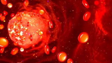 gemi insan kan akımı