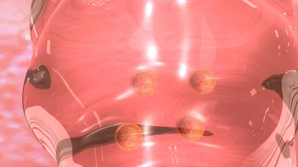 Trasferimento embrionale umano in fecondazione in vitro . — Foto Stock