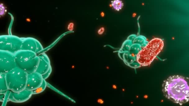人类机体免疫反应 — 图库视频影像