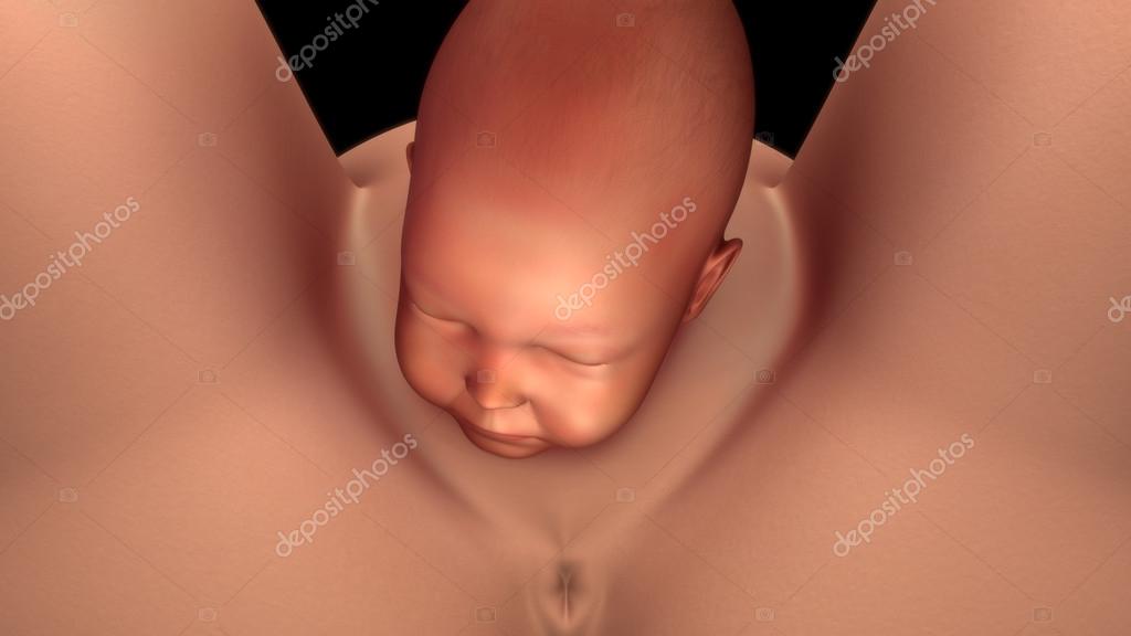 Imagenes de parto normal