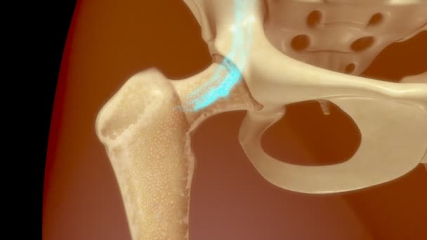 Medula óssea humana — Vídeo de Stock