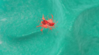 Bakteri yok makrofaj