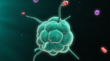 Bakteri yok makrofaj