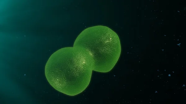 Лимфоциты T-клеток — стоковое фото
