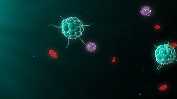 Bacteria attacking immune system — Stock Photo, Image