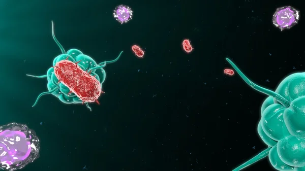 Бактерии атакуют иммунную систему — стоковое фото