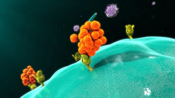 Macrophage vrijgeven van cytokines — Stockfoto