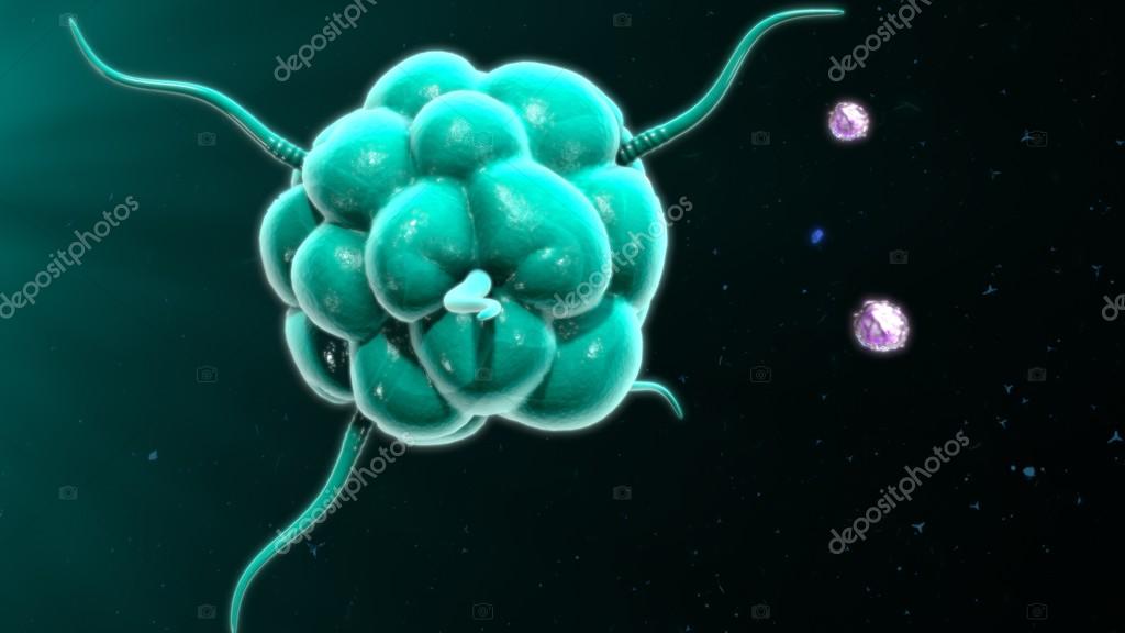 sciencepics