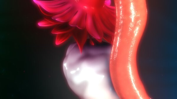 женская анатомия яичников
