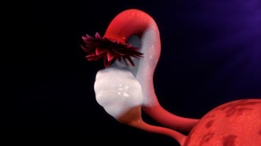 Kadın yumurtalık endometriozis yapışıklıklar