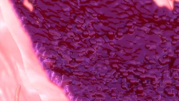 Sanguinamento mestruale femminile — Video Stock