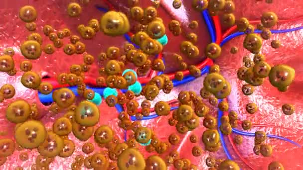 Bacterias de tuberculosis en el organismo humano — Vídeos de Stock