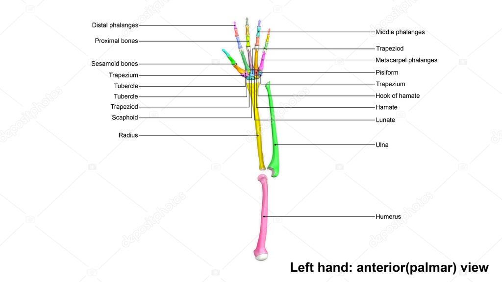 sciencepics