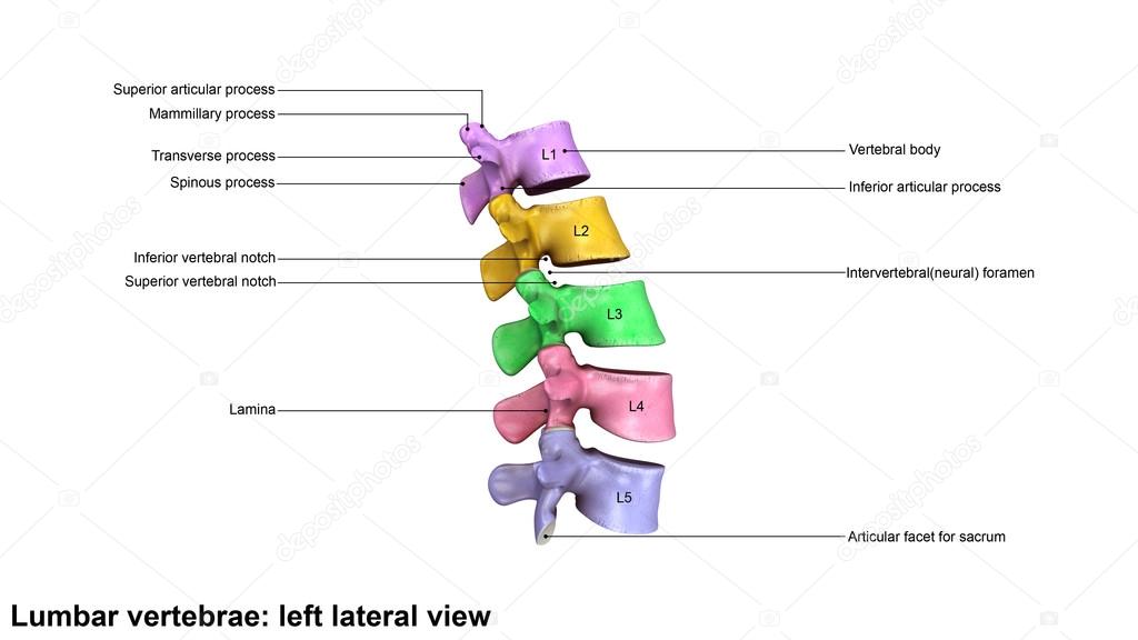 sciencepics