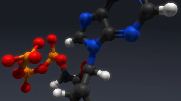 Adenosinetrifosfaat hormoon structuur — Stockfoto