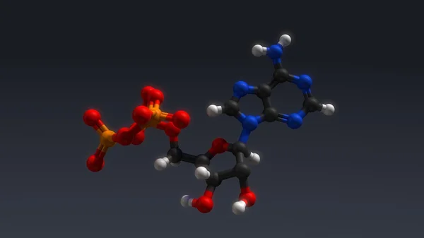 Adénosine triphosphate structure hormonale — Photo