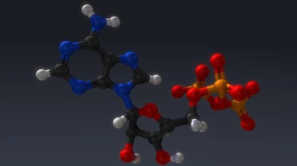 아데노신 3 인산 염 호르몬 구조 — 스톡 사진
