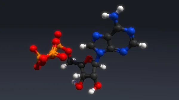 Estrutura hormonal de adenosina trifosfato — Fotografia de Stock