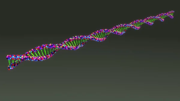 Структура молекули ДНК людини — стокове фото