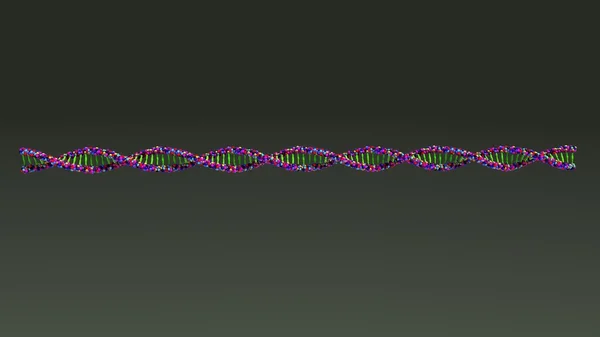 Structure moléculaire de l'ADN humain — Photo