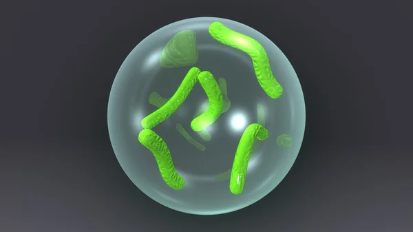 Bactéria tuberculose micróbio — Fotografia de Stock