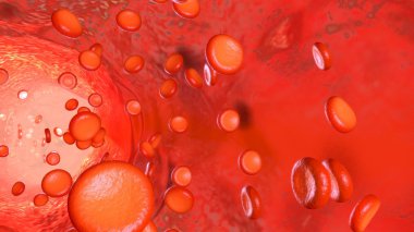 Kan akımı gemi içinde