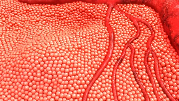 Insan damar hücreleri — Stok fotoğraf
