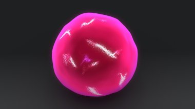 insan lenfosit T hücre