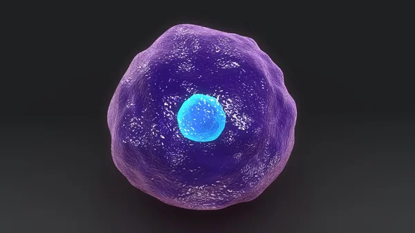 Ludzkich komórek T cytotoksycznych — Zdjęcie stockowe