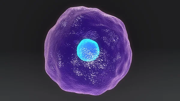 Цитотоксичные Т-клетки человека — стоковое фото