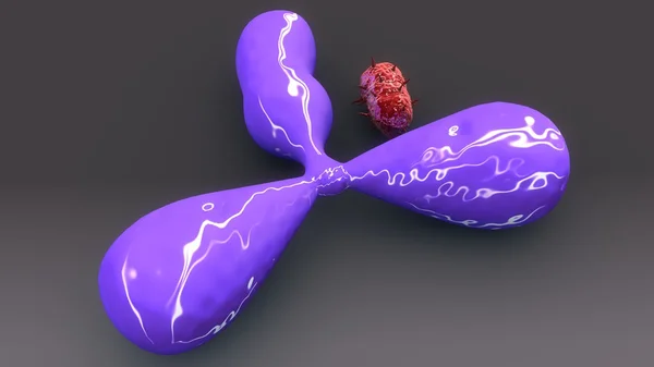 İnsan Antigene ve bakteri — Stok fotoğraf