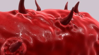 mikrop, mikrop, bakteri