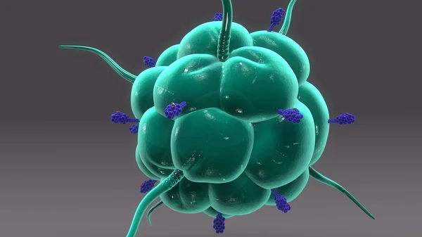 Макрофаговая клетка человека с рецепторами — стоковое фото