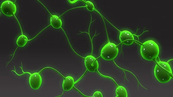 lenf düğümleri anatomisi