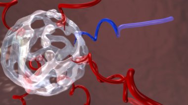 Endoderm içinde girerek blastosist