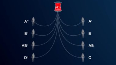 4 ana kan grubu (kan grubu) vardır: A, B, AB ve O. Kan grubunuz ailenizden aldığınız genlere göre belirlenir. Her grup ya RHD pozitif ya da RHD negatif olabilir. Yani toplam 8 kan grubu var..
