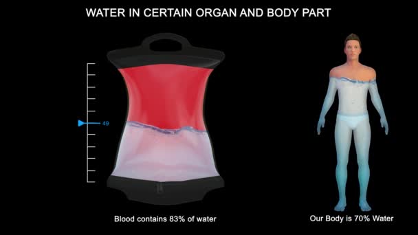 Parte Liquida Chiamata Plasma Composta Acqua Sali Proteine Più Della — Video Stock