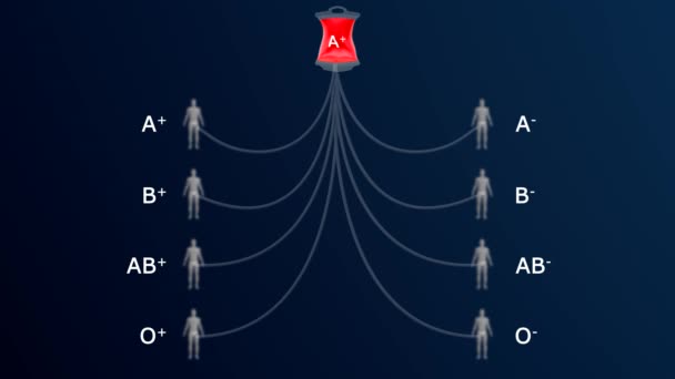 Sono Gruppi Sanguigni Principali Tipi Sangue Tuo Gruppo Sanguigno Determinato — Video Stock