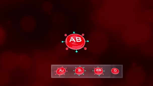 Gibt Vier Hauptblutgruppen Blutgruppen Und Ihre Blutgruppe Wird Durch Die — Stockvideo