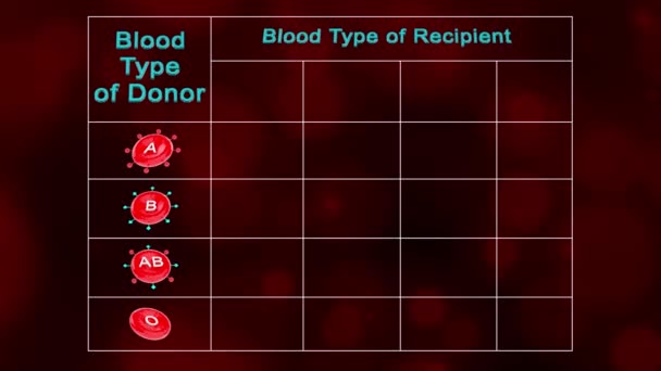 Existem Grupos Sanguíneos Principais Tipos Sangue Seu Grupo Sanguíneo Determinado — Vídeo de Stock