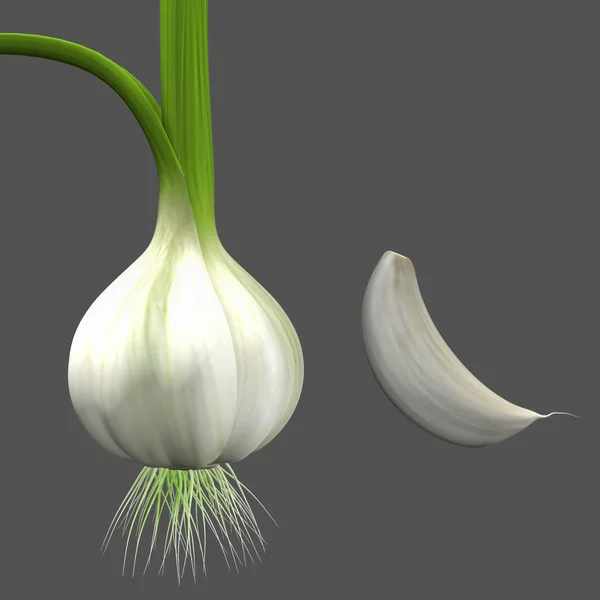 Garlic — Stock Photo, Image