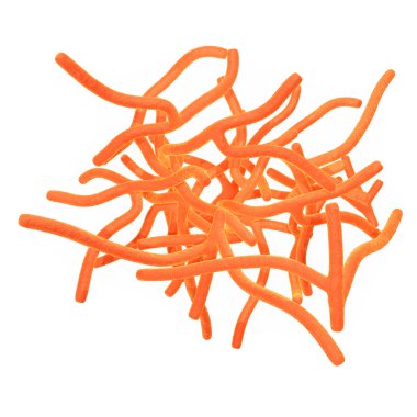 Aktinomiler