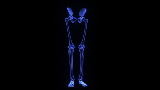 Skeleton benen — Stockvideo
