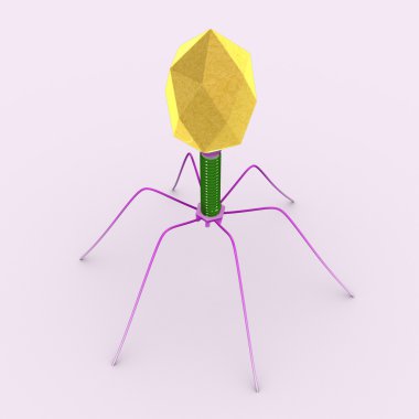 Bacteriophage clipart